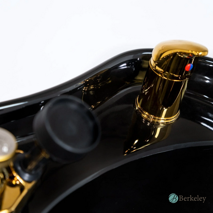 BELGRADE Backwash Unit by Berkeley