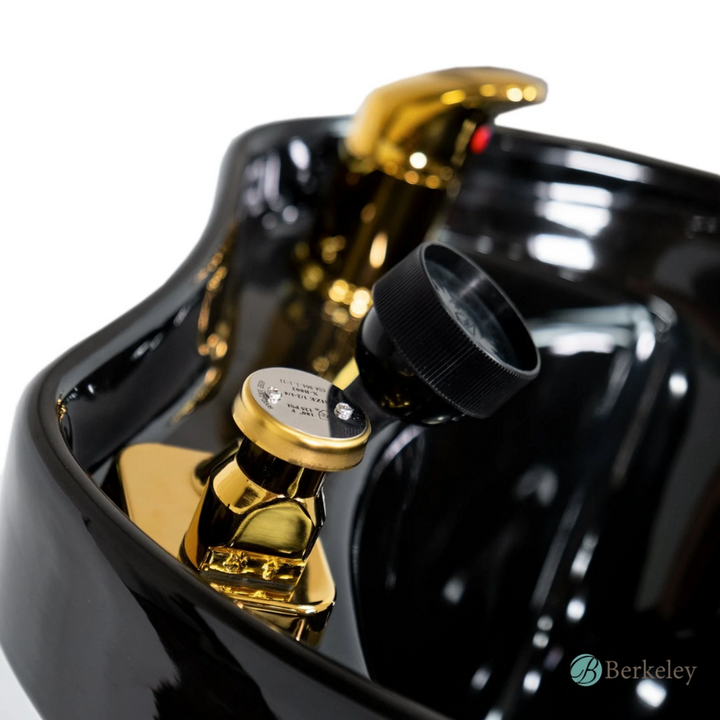 BELGRADE Backwash Unit by Berkeley