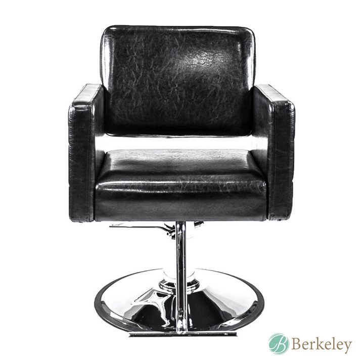 AYLA Styling Chair w/ A13 Pump by Berkeley