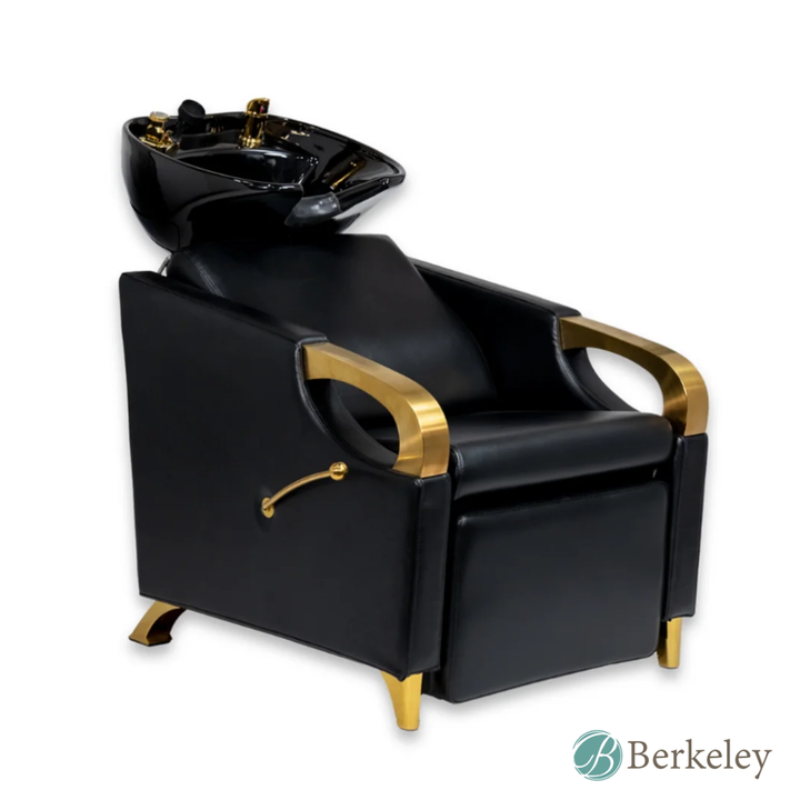 AURUM LUXE Backwash Unit